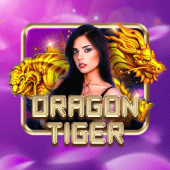 Dragon Tiger live casino on pk7 slot